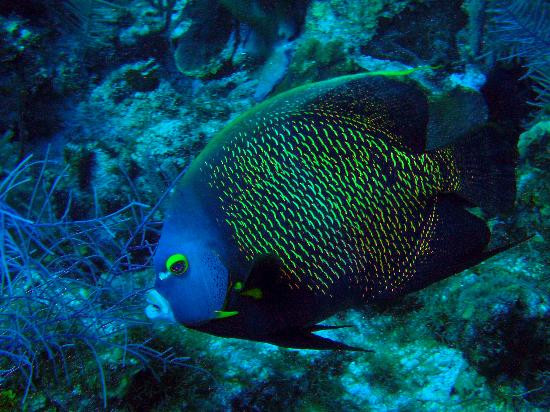 Ocean Frontiers-East End必去景点