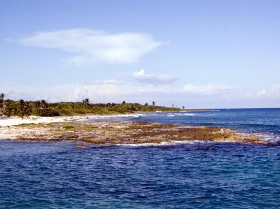 Zona Arqueologica De Chacchoben景点图片