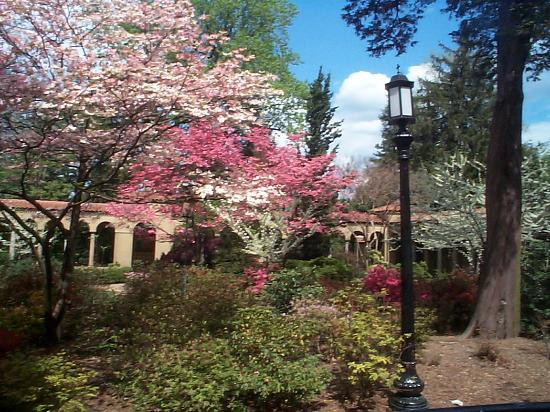 圣方济修道院-华盛顿特区必去景点