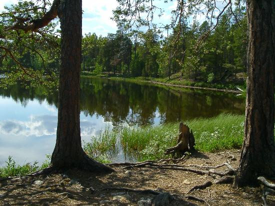 Lemmenjoki National Park-拉普兰必去景点