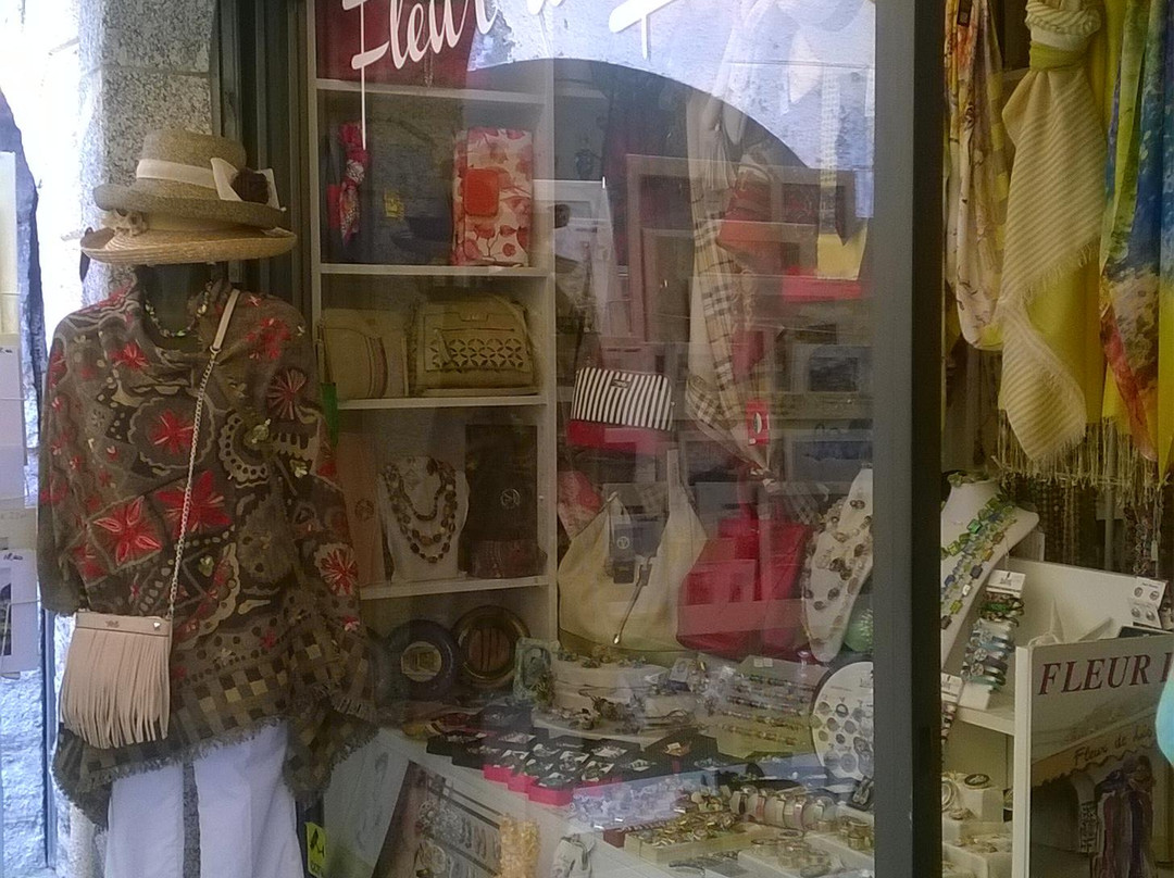 Fleur de Lis-特雷梅佐必去景点