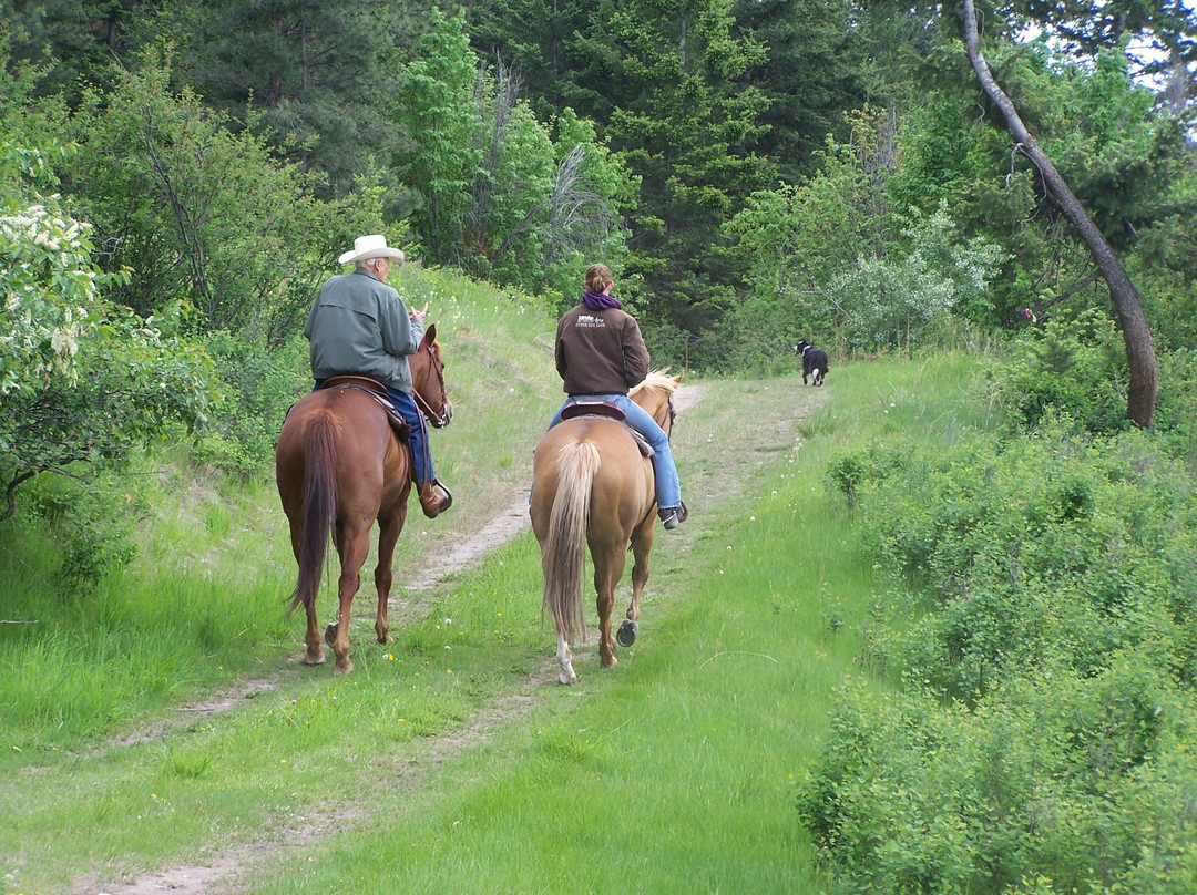Bridlewood Riding Centre景点图片