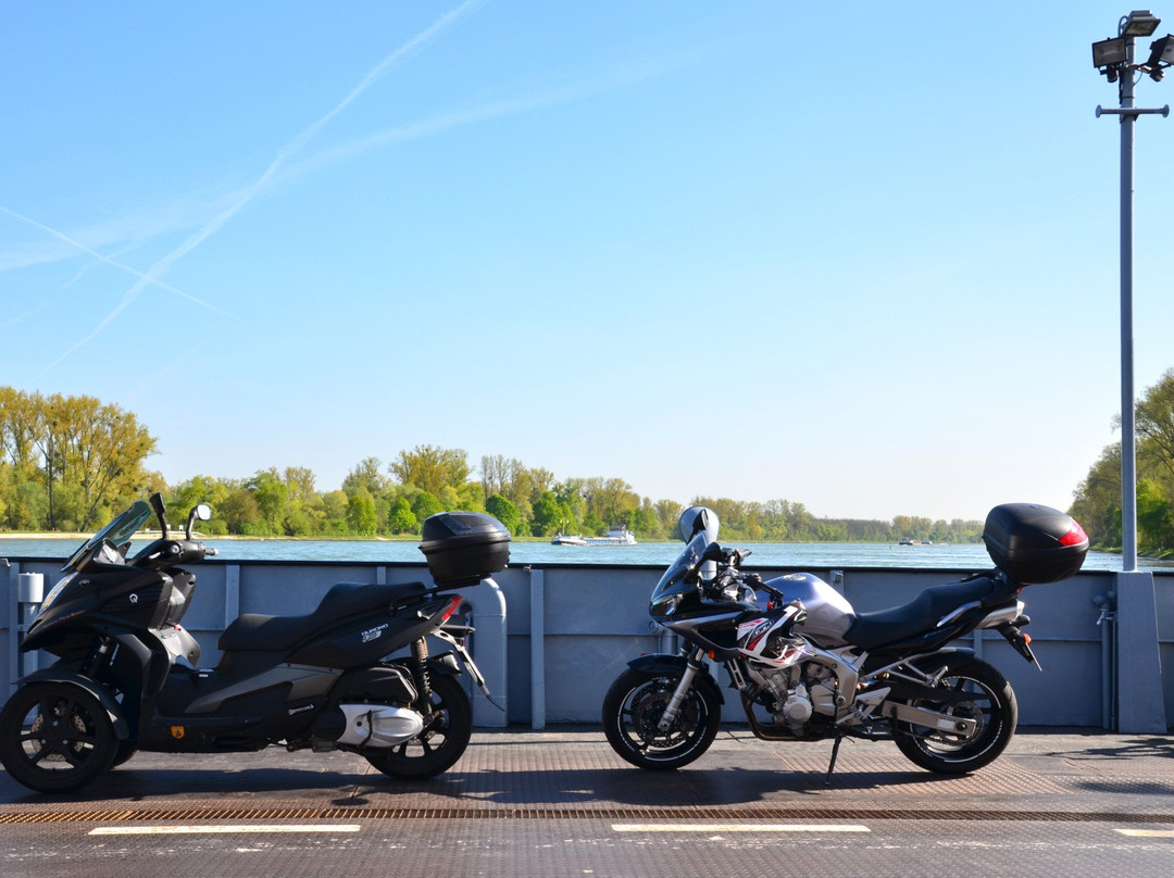 Neupotz餐馆和美食-Rheinschanke Leimersheim