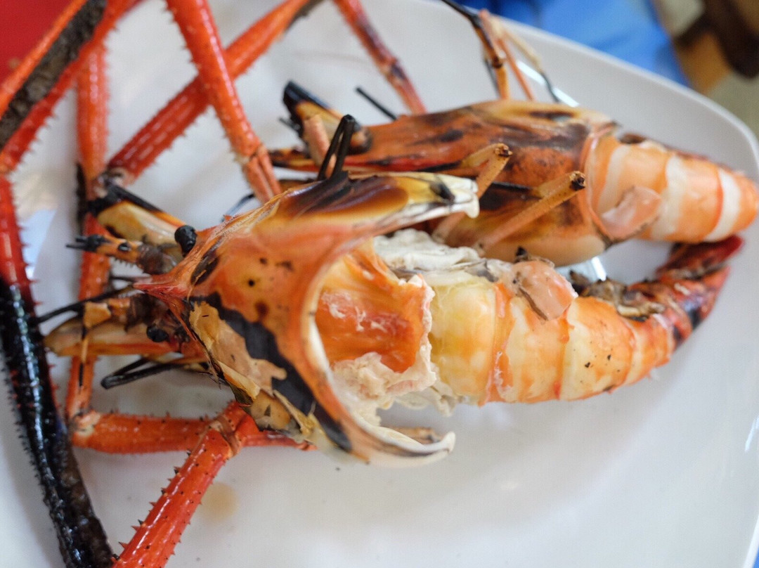 ร้านช้างเผือก