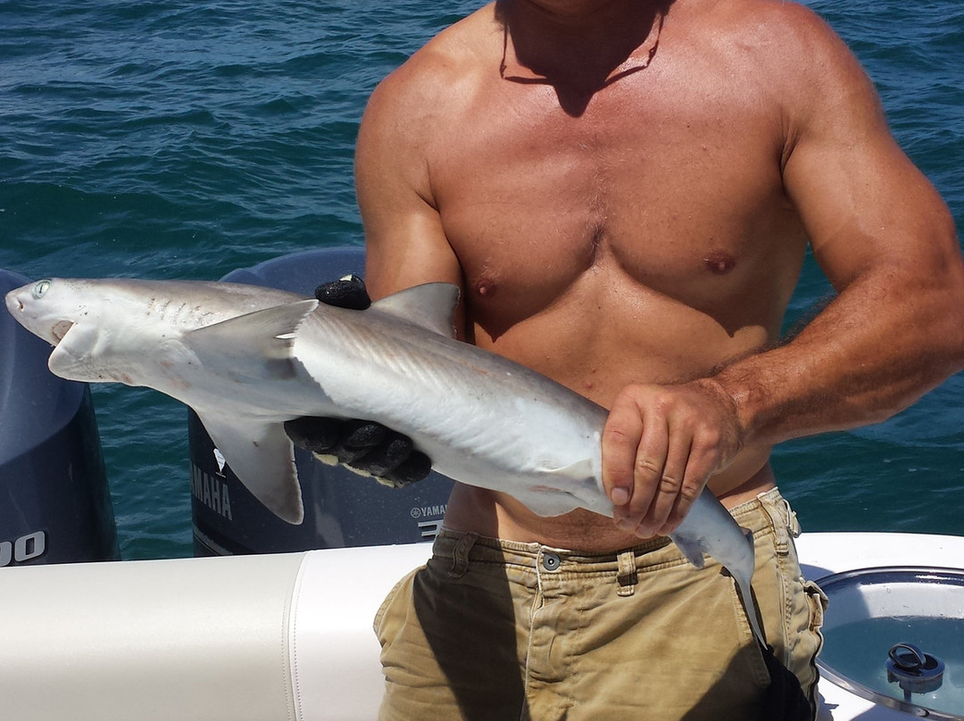 FishNMB-美特尔海滩必去景点