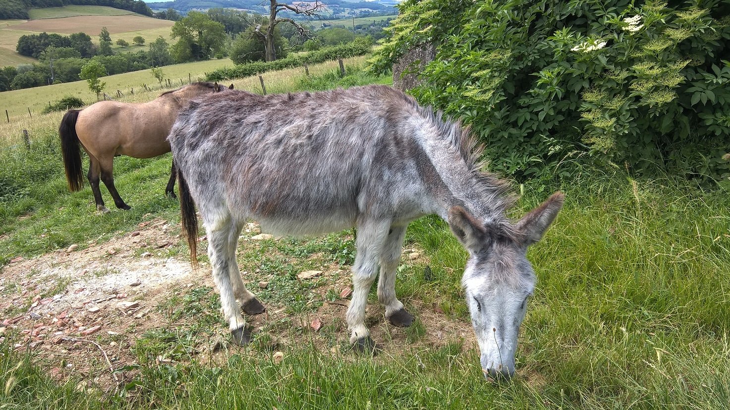 Ferme de la Bouretière-官方