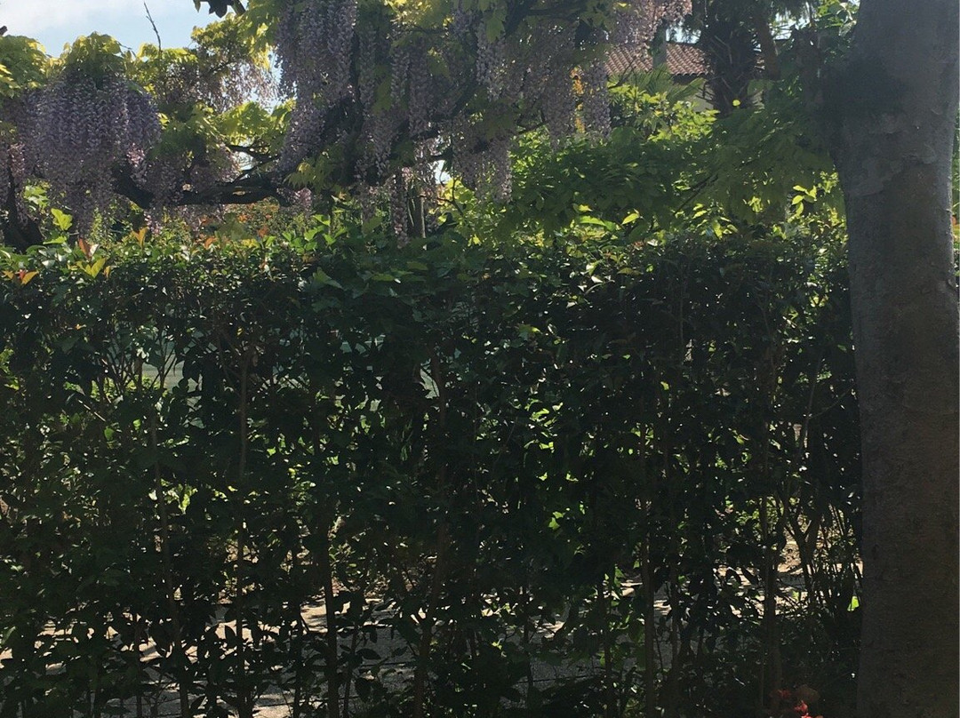 B&B Via Venezia 206