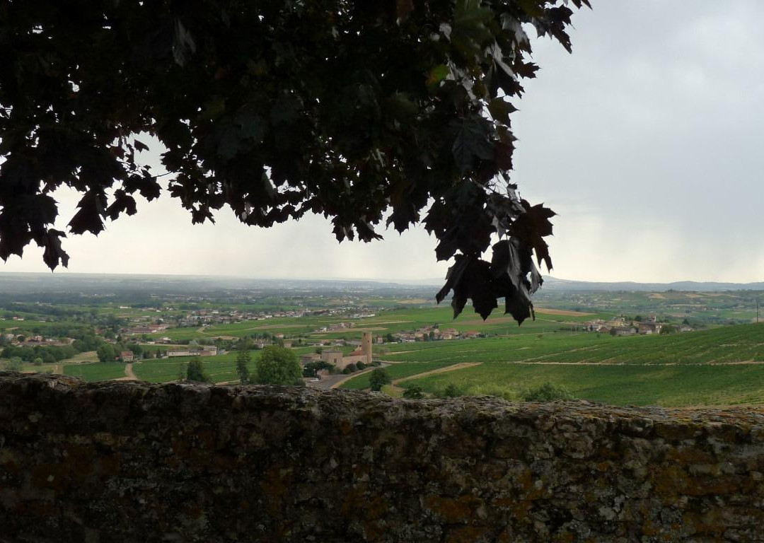 Domaine de Combillaty