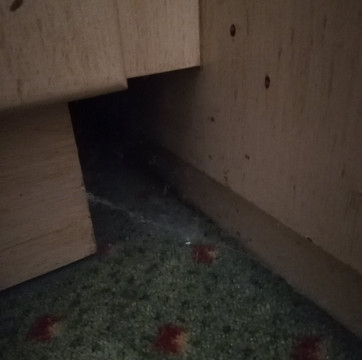 哈里甘酒店主图