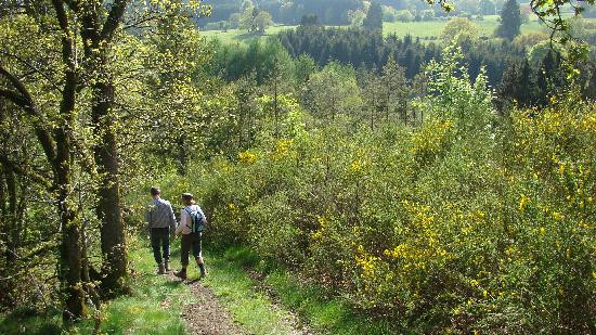 La Maison de Maitre主图