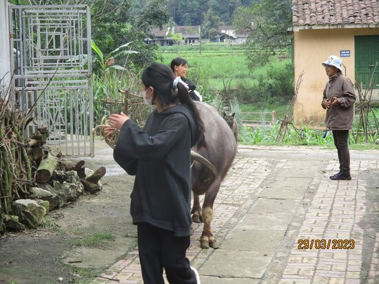 Phuc Sen Forging Village景点图片