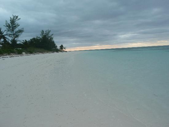 Bahamas Ocean Safaris景点图片