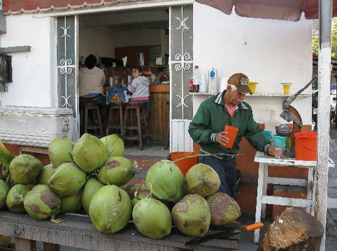 Vallarta Eats Food Tours-瓦拉塔港必去景点