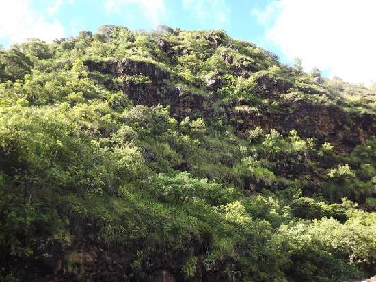 威美亚山谷-哈雷瓦必去景点