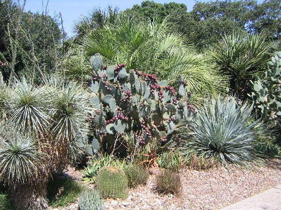 阿拉莫-圣安东尼奥市必去景点