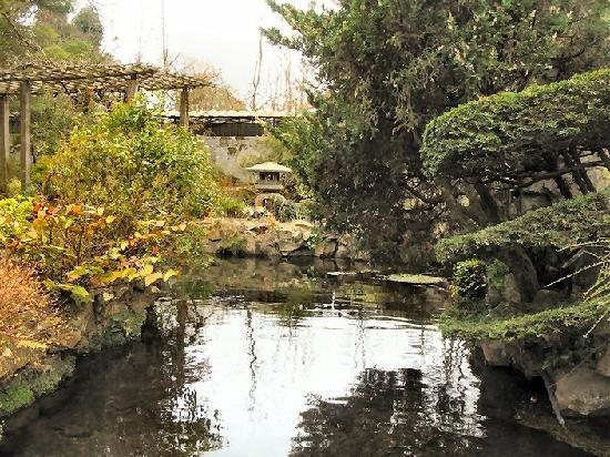 Irish National Stud & Gardens-Tully必去景点