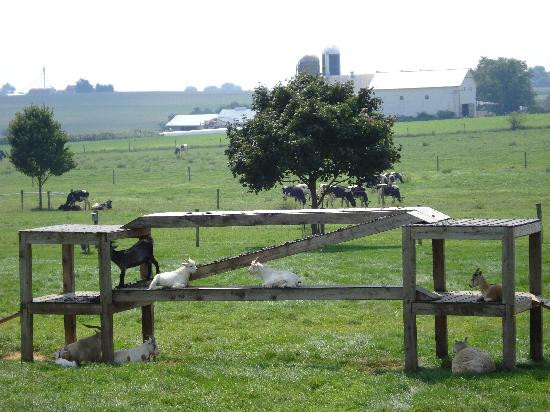 Countryside Road Stand-Ronks必去景点