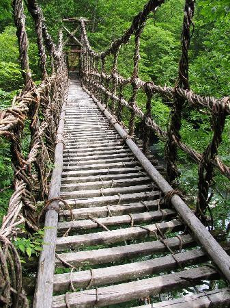 Okuiya Niju Kazurabashi Bridge-三好市必去景点