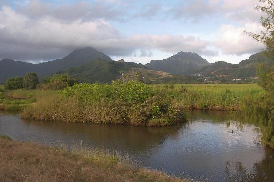 Kawai Nui Marsh自然保护区-科纳必去景点