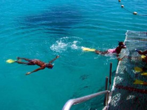 格列夫人岛-马斯格雷夫夫人岛必去景点