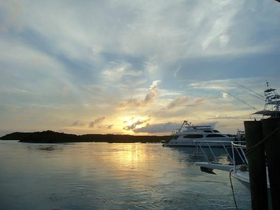 Compass Cay-外围小岛群必去景点