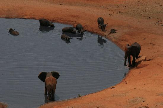 First African Dream Tours & Safaris-蒙巴萨必去景点