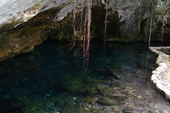 Gran Cenote-图伦必去景点