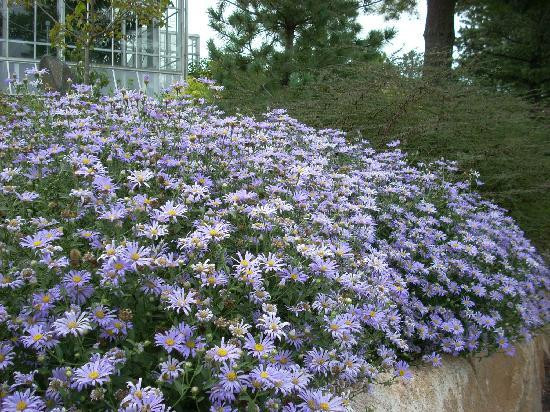 罗杰·威廉姆斯公园-普罗维登斯必去景点