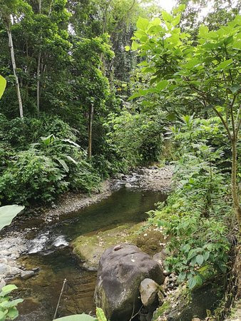 Redfrogteam Biological Station景点图片