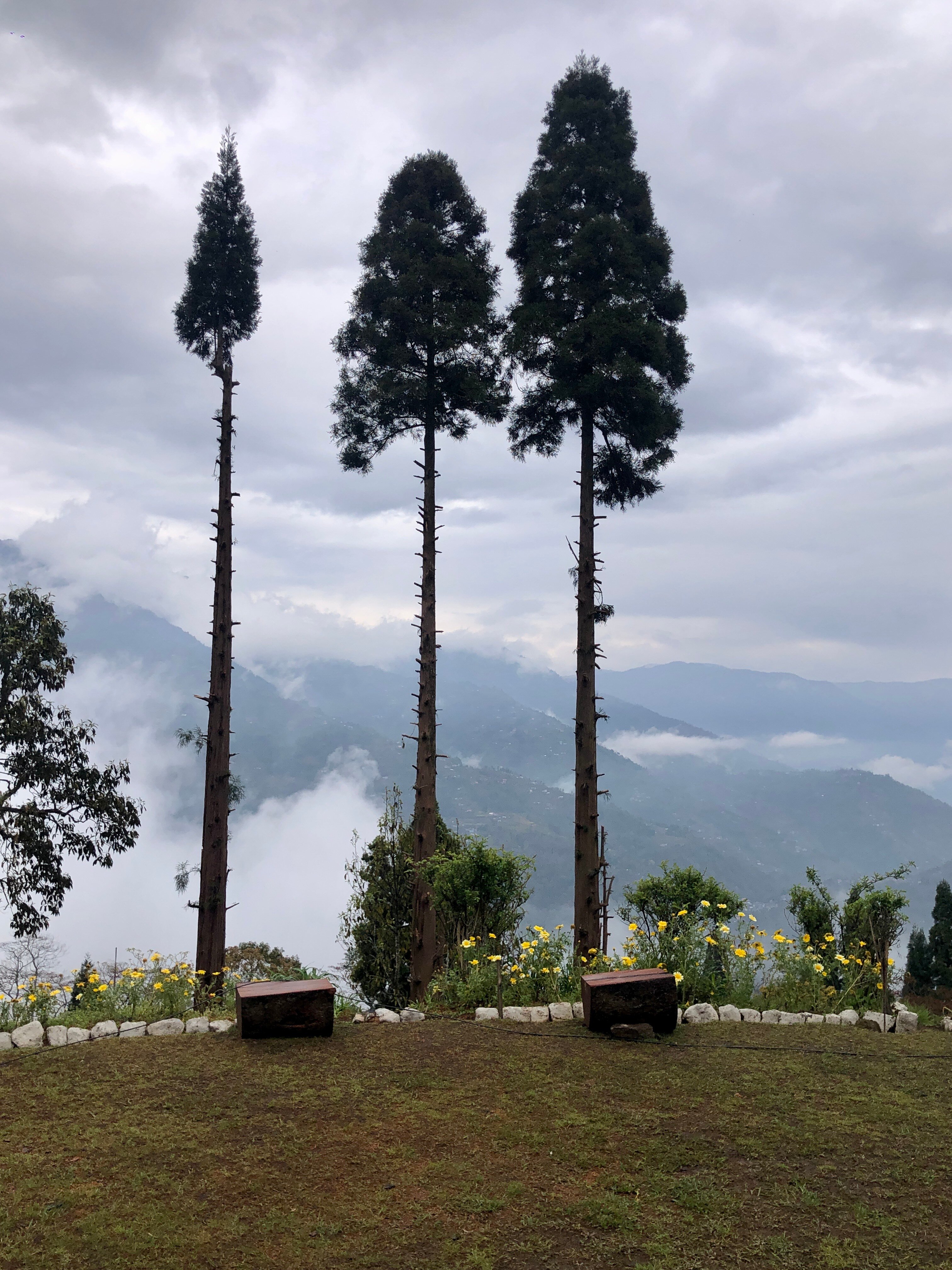 Yule Tea Retreat-官方