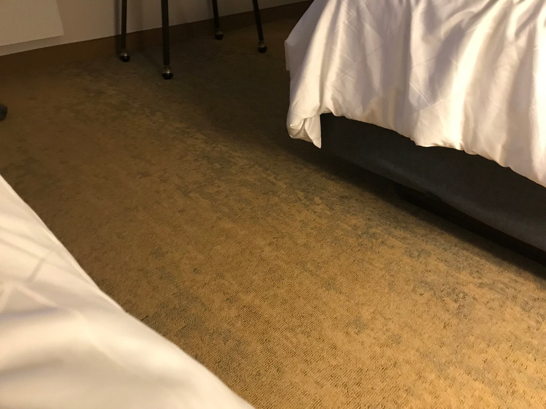 Holiday Inn Edmonton South - Evario Events By IHG主图