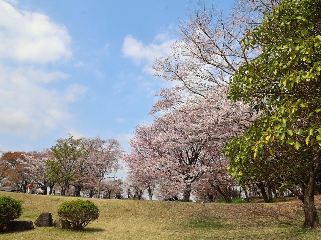 Isobe Sakuragawa Park-樱川市必去景点