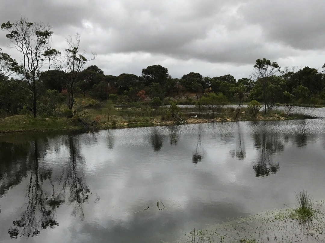 Lake McIntyre-Millicent必去景点