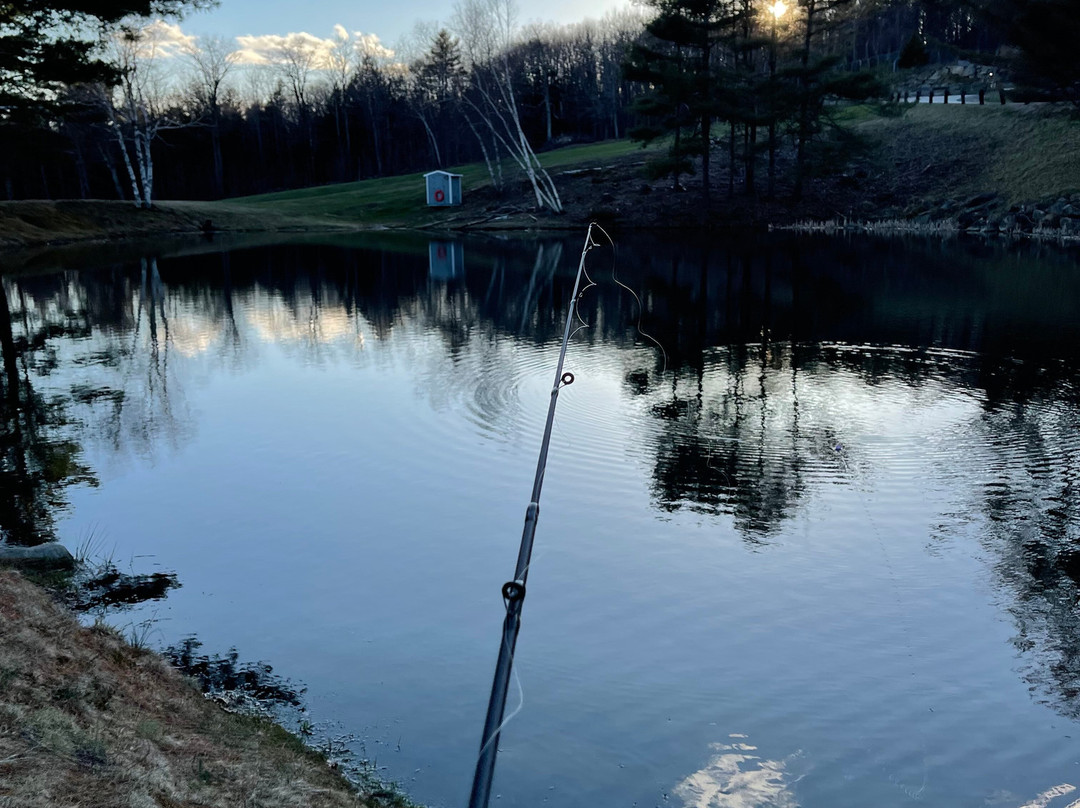 Steele Hill Resorts主图