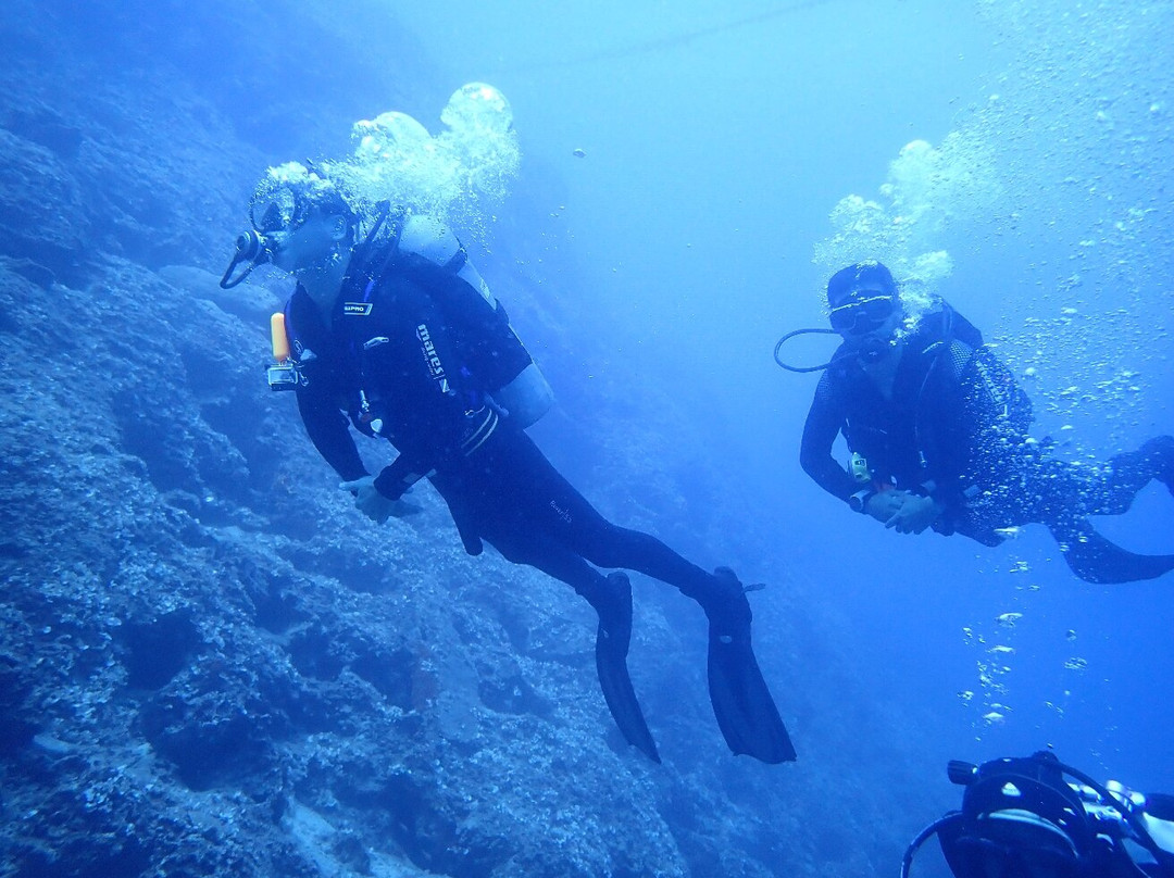 Planet Blue Diving Center景点图片