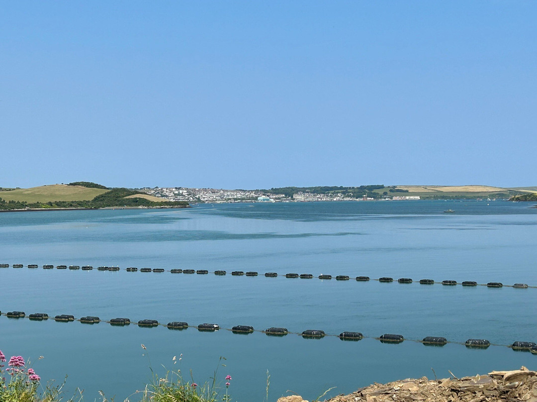The Camel Trail-Wadebridge必去景点