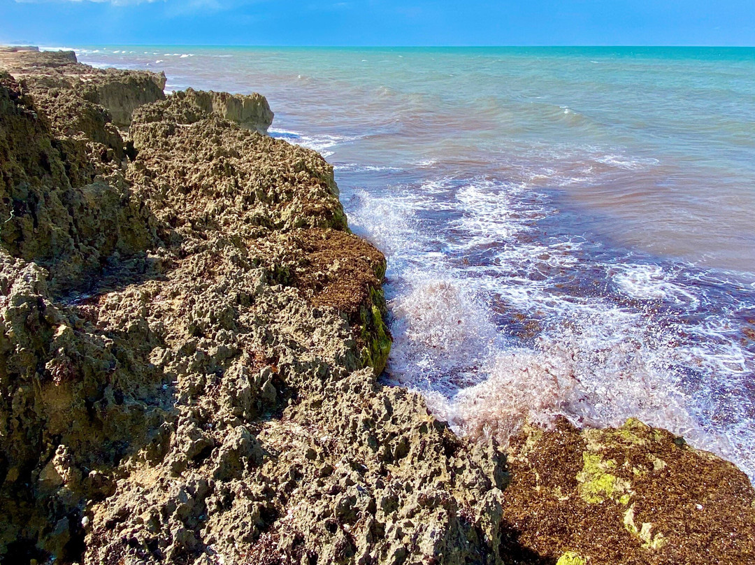 Ross Witham Beach-斯图尔特必去景点