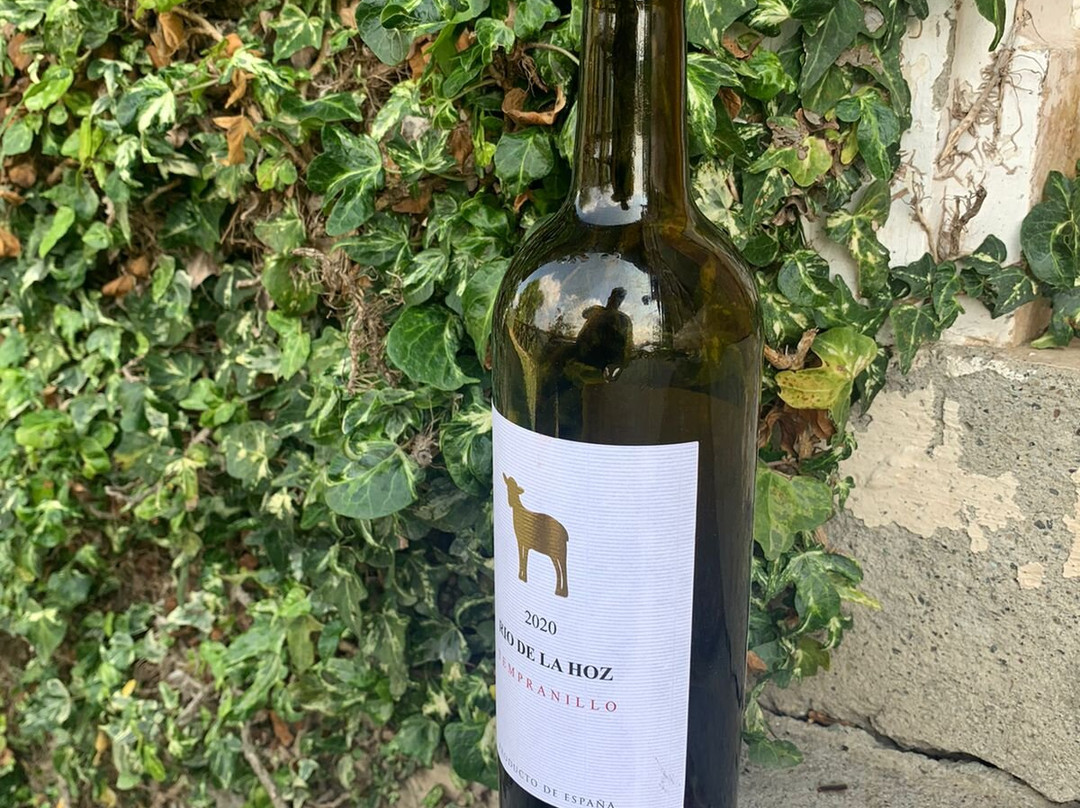 Oak Climbing Resort主图