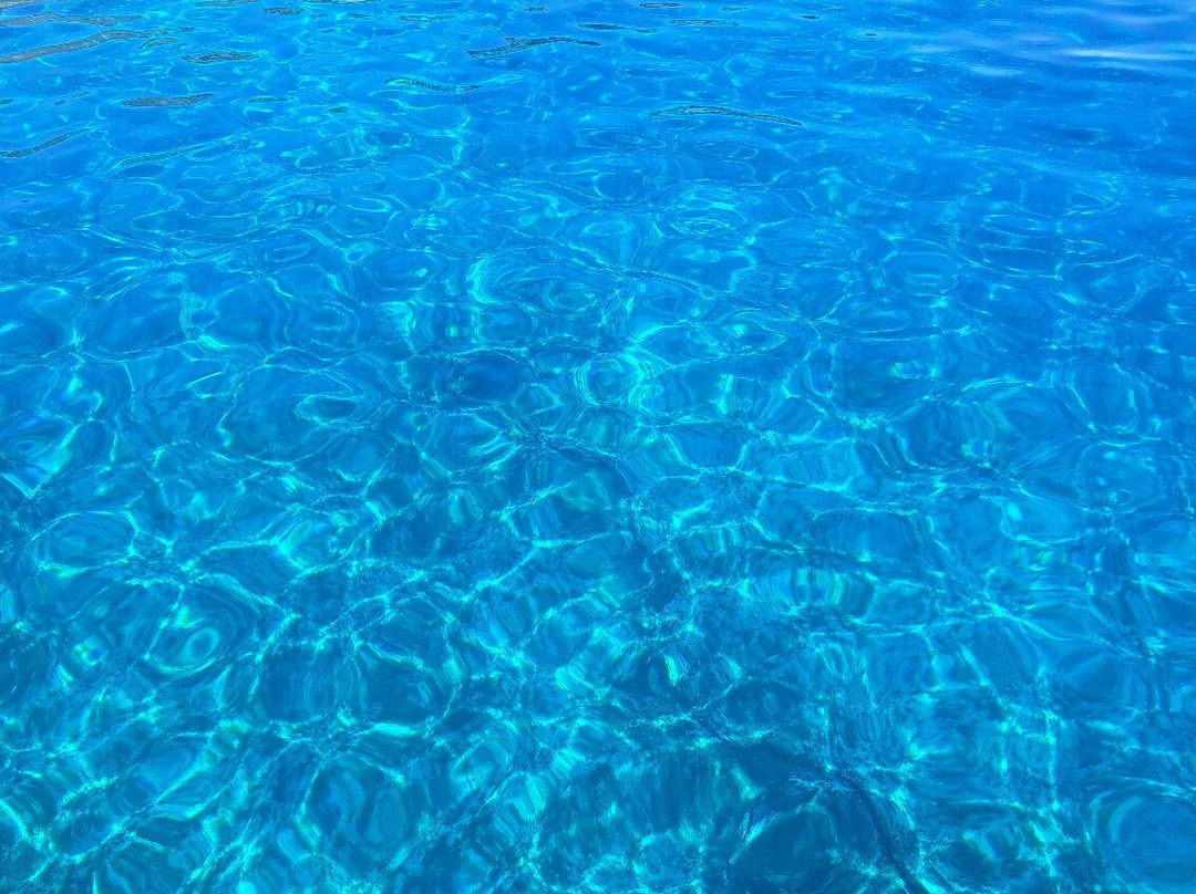 Let's Go Fishing -Chania Crete景点图片