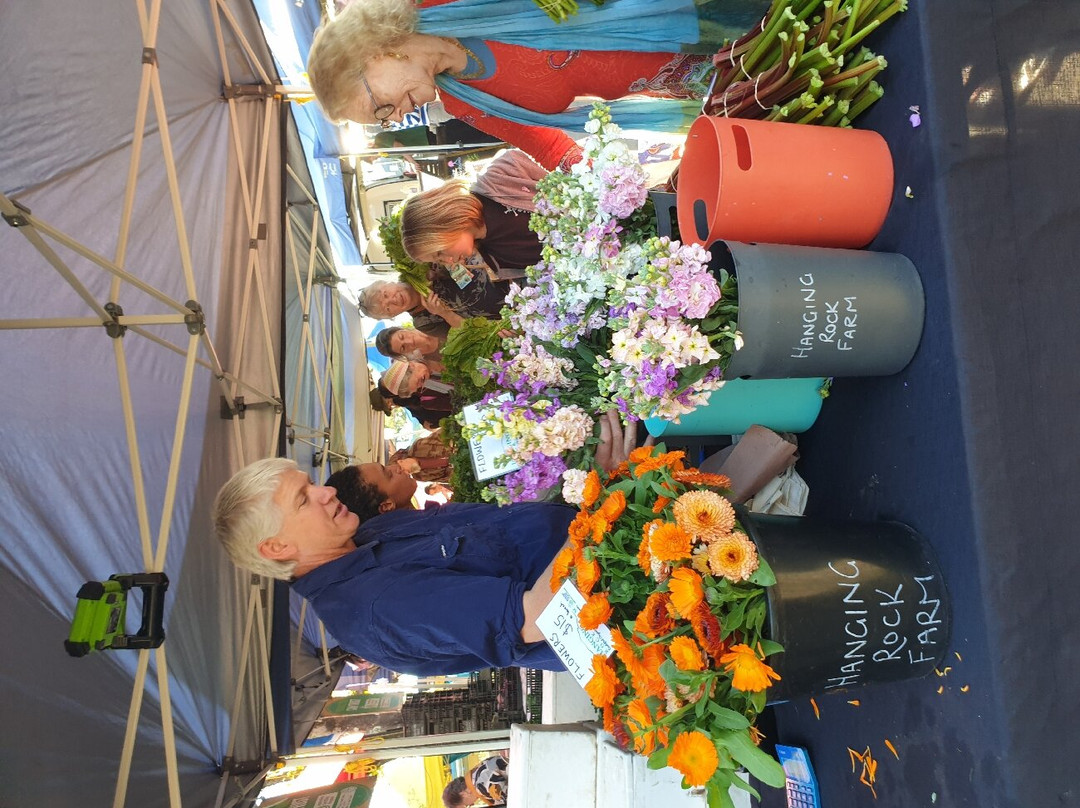 Nimbin Farmers Market景点图片