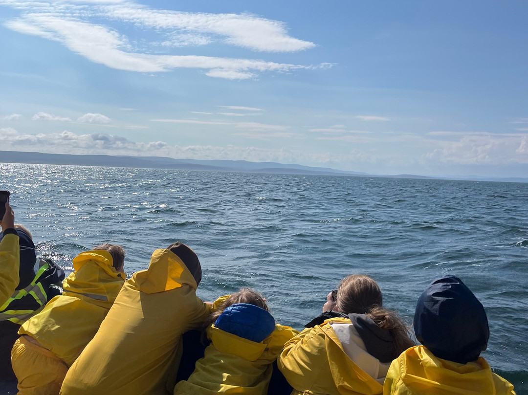 Whale-Watching Cruise in Forillon National Park景点图片