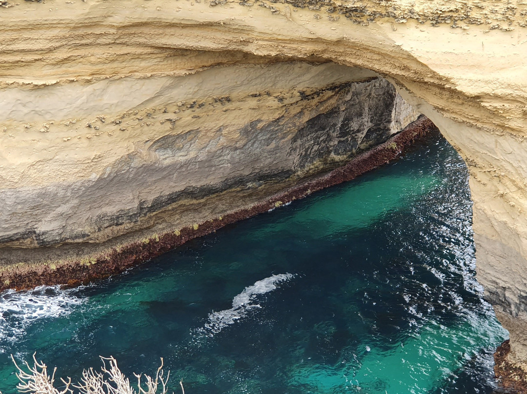Mutton Bird Lookout-坎贝尔港必去景点