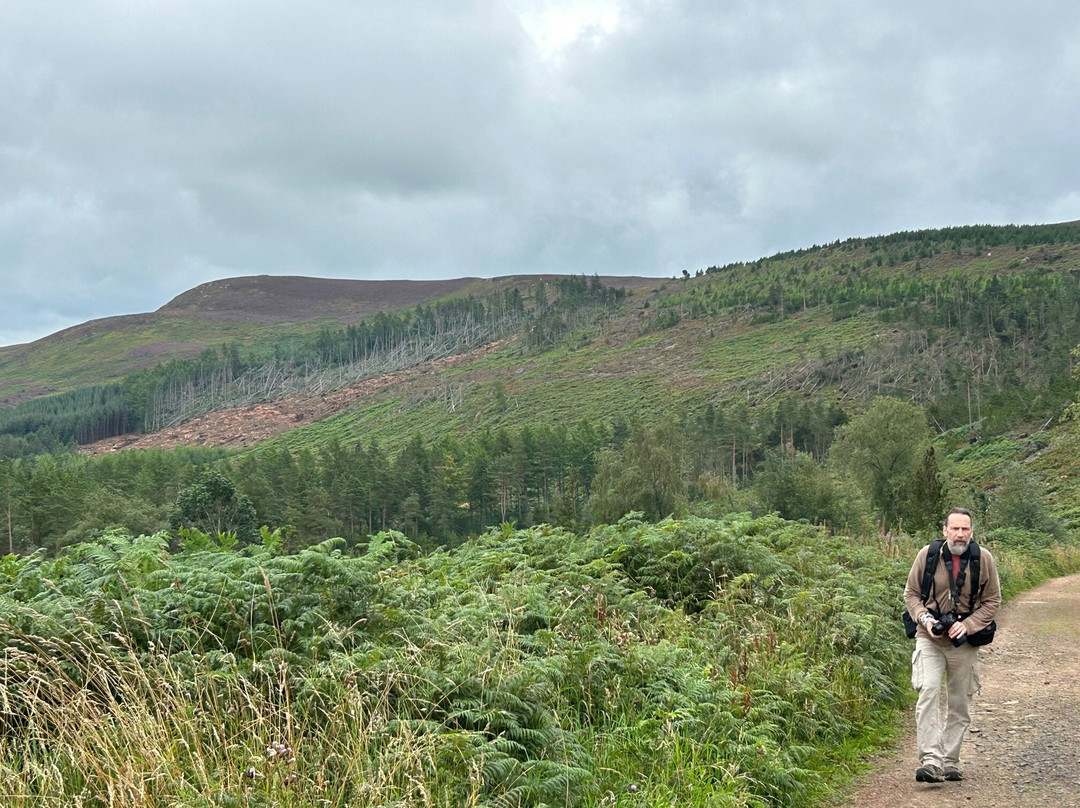 Simonside Hills景点图片