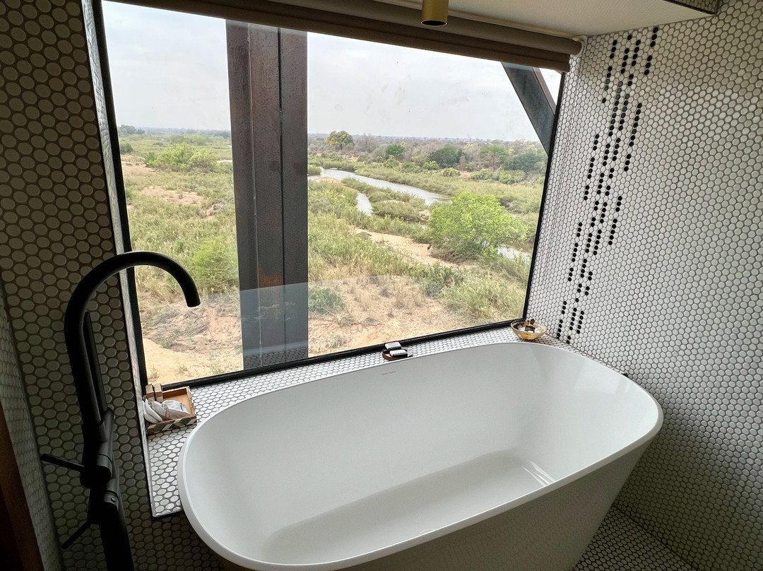 Kruger Shalati - The Train on the Bridge主图