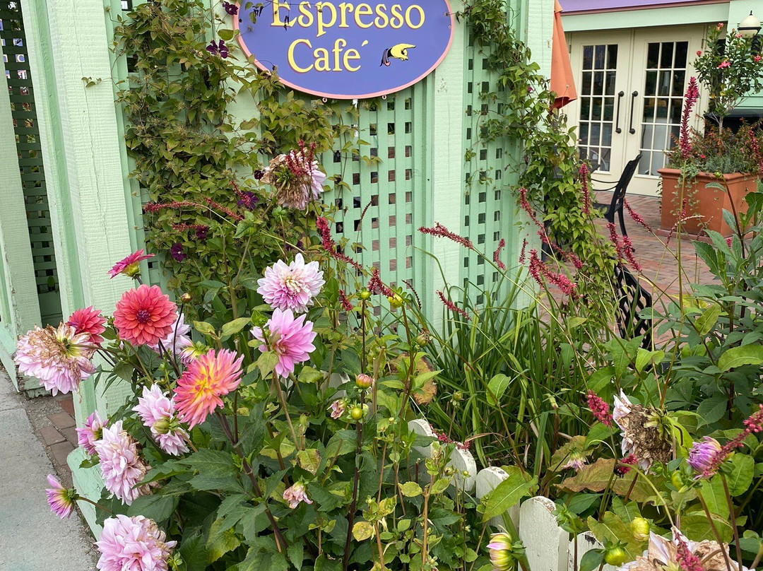 Bogan Lane Inn主图