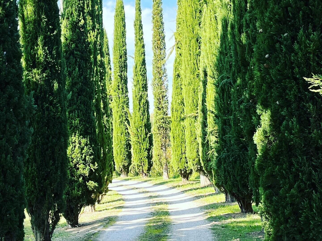 Tenuta Valdipiatta-蒙特普尔恰诺必去景点