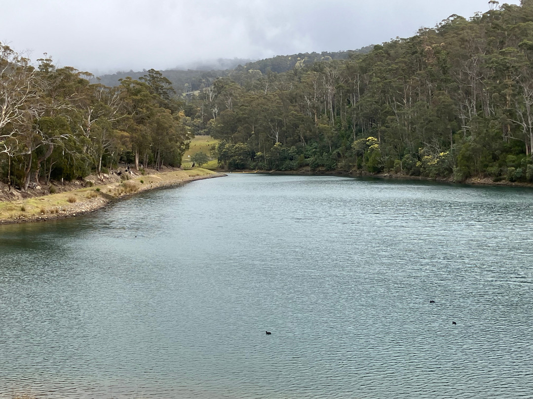 Waterworks Reserve景点图片
