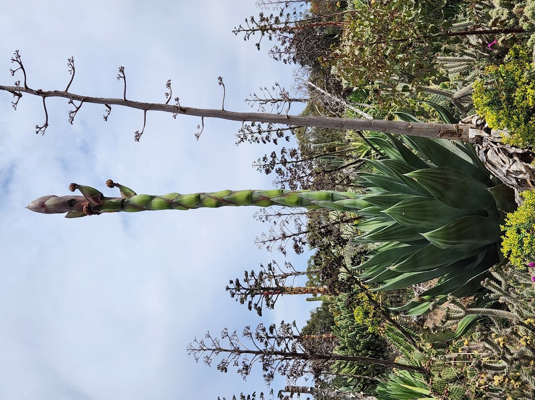 Cactus Country-Strathmerton必去景点
