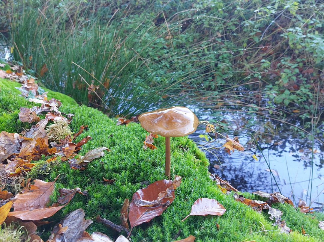 Hotel Landgoed Ehzerwold主图