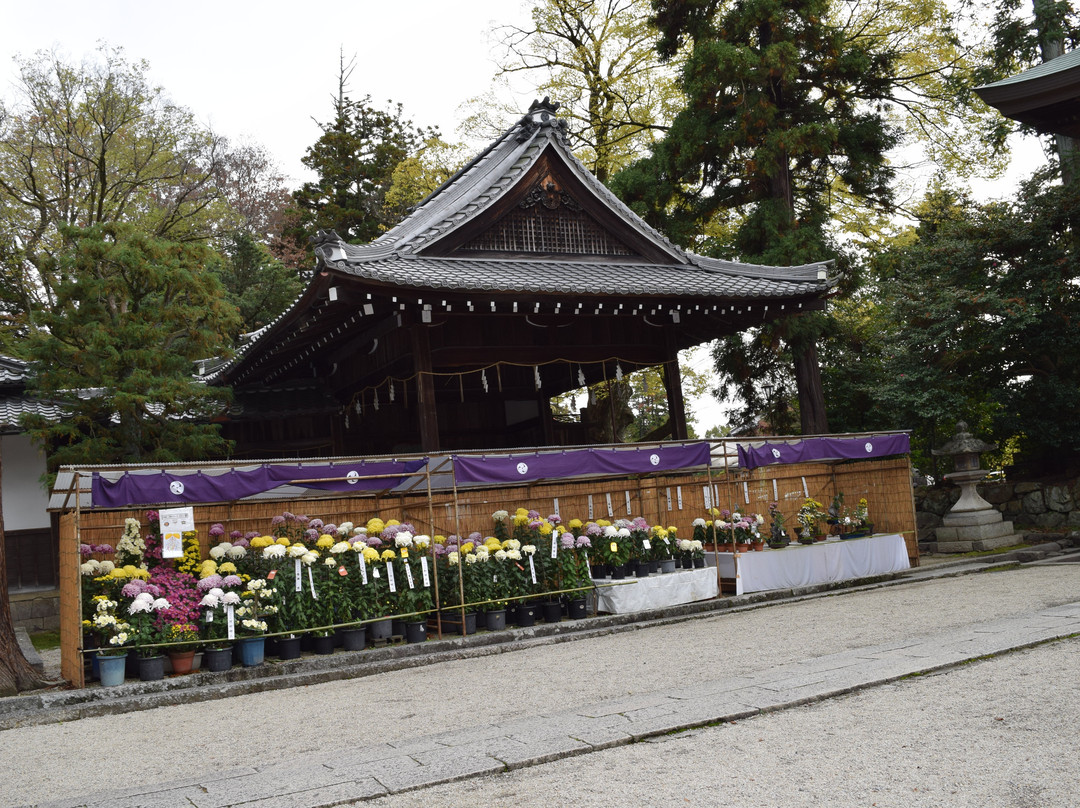 Himure Hachimangu-近江八幡市必去景点